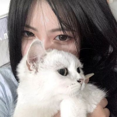 梦想精灵乐园游戏下载